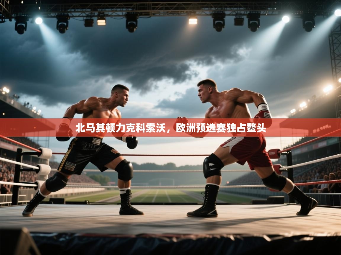 北马其顿力克科索沃，欧洲预选赛独占鳌头  第1张